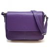 Purple / Viola