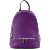 Purple / Viola