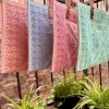 5887 - Thumbnail Image 6