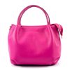 Fuchsia / Fucsia