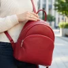 526 - Thumbnail Image 1