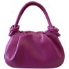 Fuchsia / Fucsia